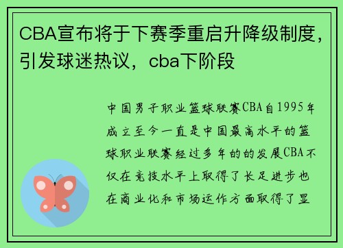 CBA宣布将于下赛季重启升降级制度，引发球迷热议，cba下阶段